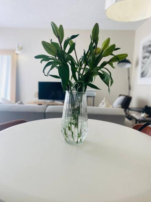 A Zen And Chic Beachfront Apartment 스바코프문트 외부 사진